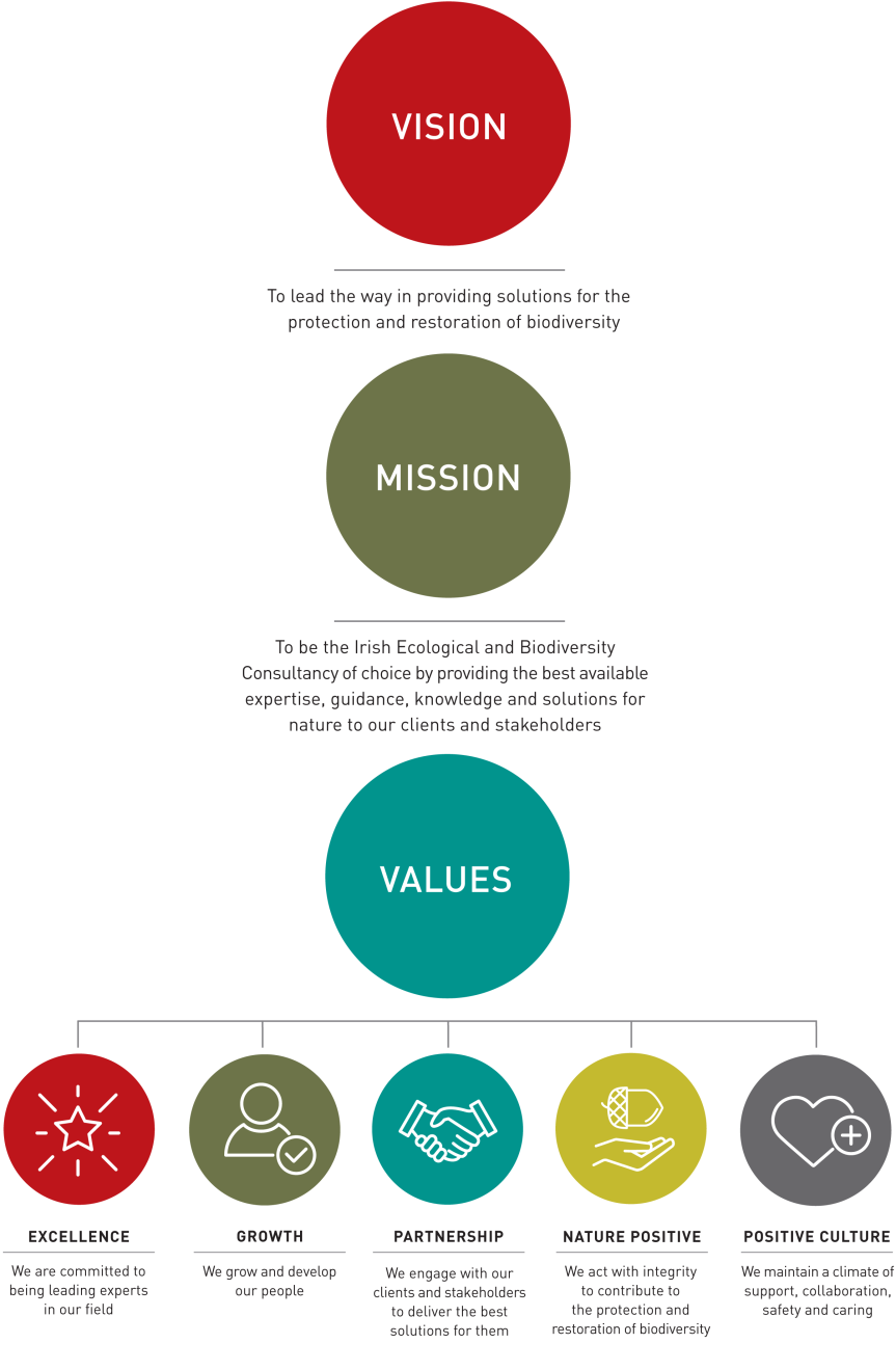 Our Vision Mission Values